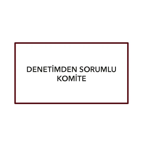 Denetimden Sorumlu Komite