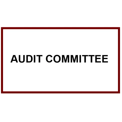 Audit Committee