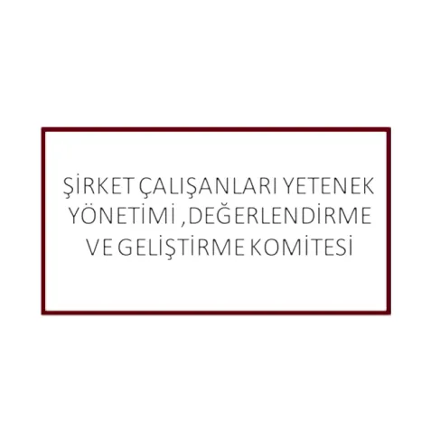 Şirket Çalışanları Yetenek Yönetimi Değerlendirme ve Geliştirme Komitesi