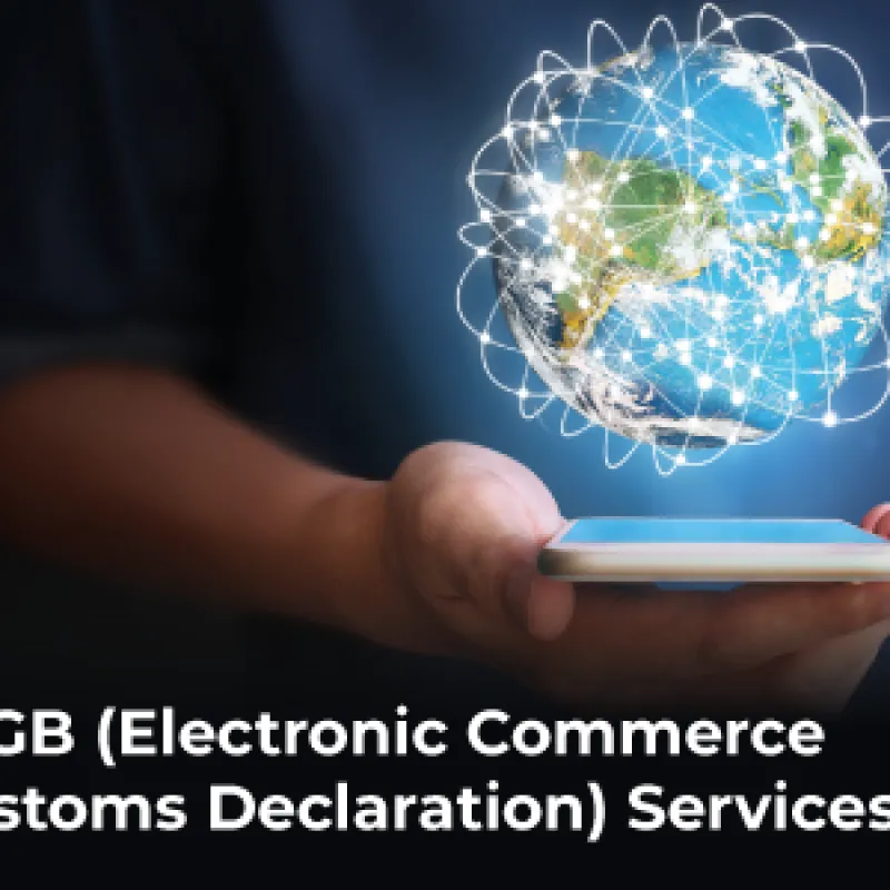 ETGB (Electronic Commerce Customs Declaration) Services