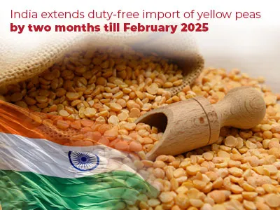 India extends duty-free import of yellow peas by two months till February 2025