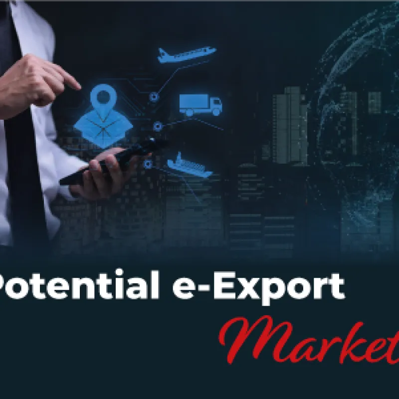 Potential E-Export Market