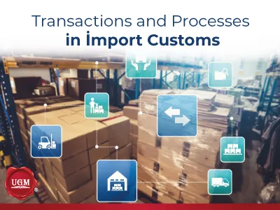 Transactions and Processes in Import Customs