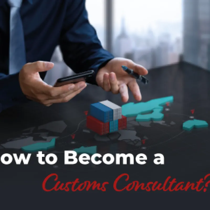 How to Become a Customs Consultant?