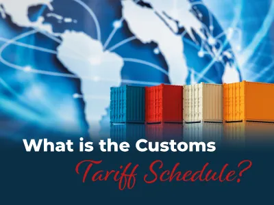 What is the Customs Tariff Schedule?