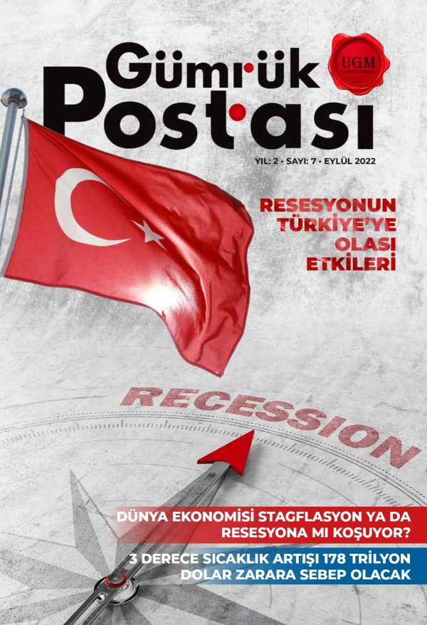 SAYI 7