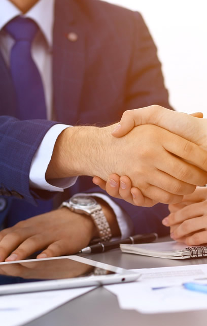 CUSTOMS CONSULTANCY