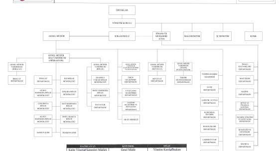 Management & Organization
