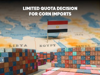 Lımıted Quota Decision For Corn Imports