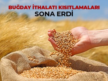 Buğday İthalatı Kısıtlamaları Sona Erdi