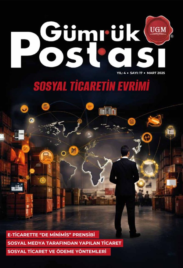 Sayı 17