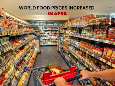 World Food Prıces Increased In Aprıl