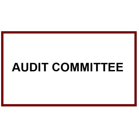 Audit Committee