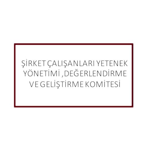 Şirket Çalışanları Yetenek Yönetimi Değerlendirme ve Geliştirme Komitesi