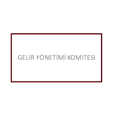 Gelir Yönetimi Komitesi