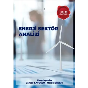 Enerji Sektör Analizi Raporu.pdf