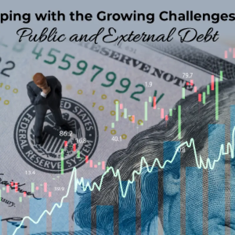 Coping with the Growing Challenges of Public and External Debt