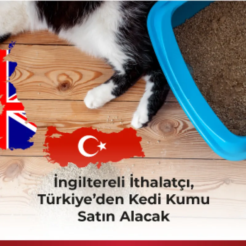 İngiltereli İthalatçı, Türkiye’den Kedi Kumu Satın Alacak