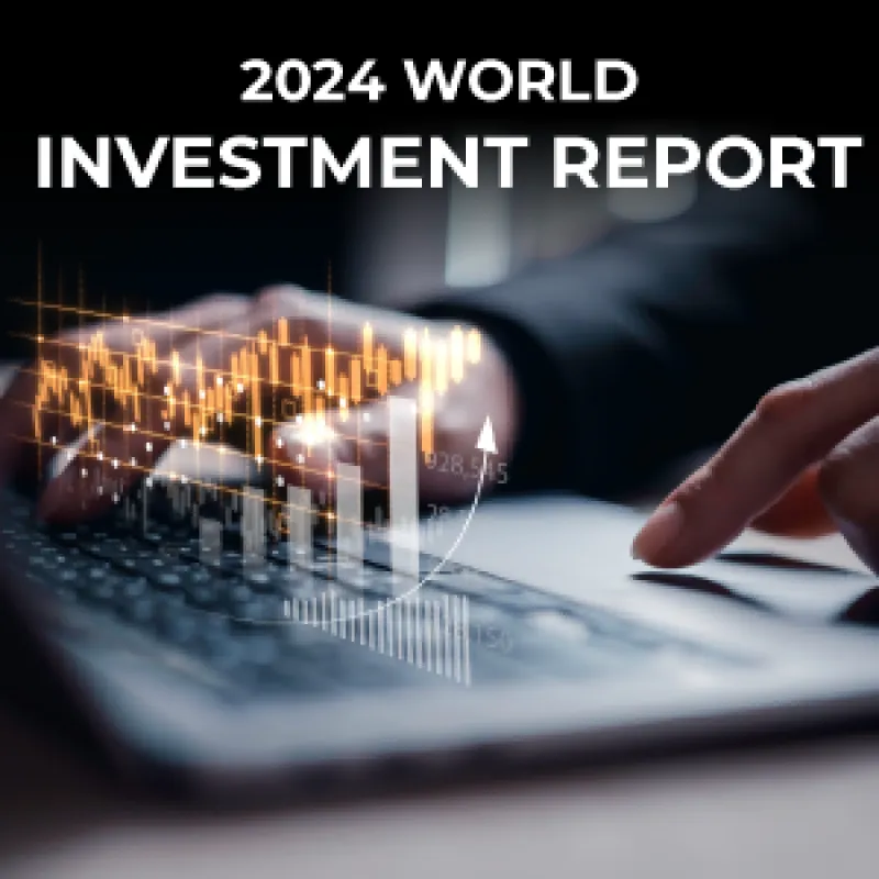 2024 World Investment Report