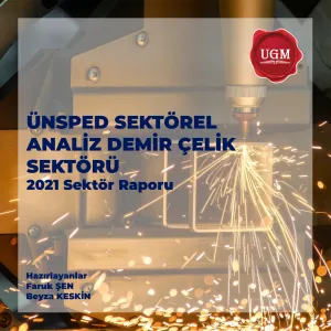 Demir - Çelik Sektörü Raporu.pdf