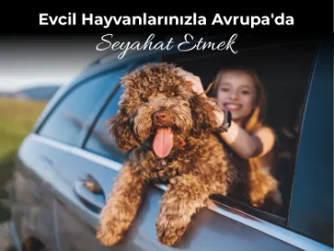 Evcil Hayvanlarınızla Avrupa'da Seyahat Etmek