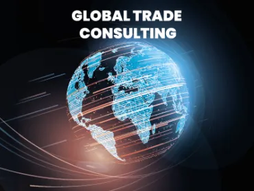 Global Ticaret Danışmanlığı