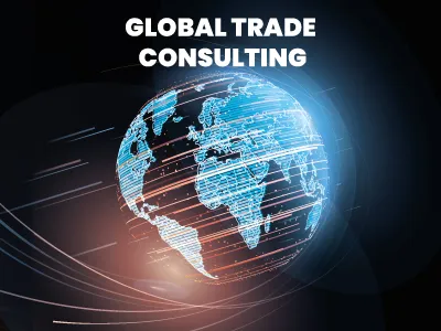Global Ticaret Danışmanlığı