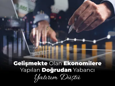 Gelişmekte Olan Ekonomilere Yapılan Doğrudan Yabancı Yatırım Düştü