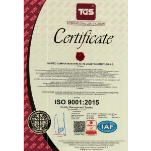 ISO 9001 EN.png