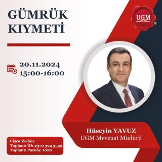 Gümrük Kıymeti (20.11.2024)