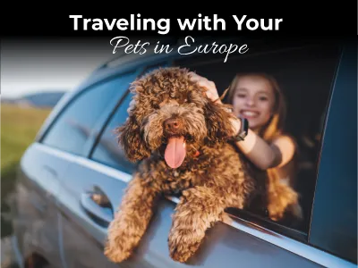 Traveling with Your Pets in Europe