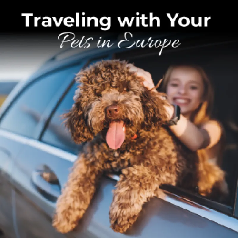 Traveling with Your Pets in Europe