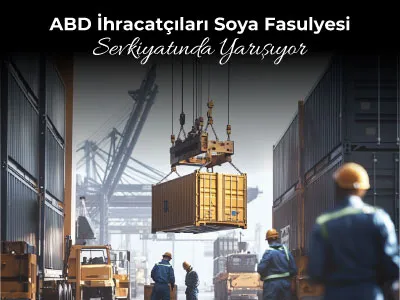 ABD İhracatçıları Soya Fasulyesi Sevkiyatında Yarışıyor