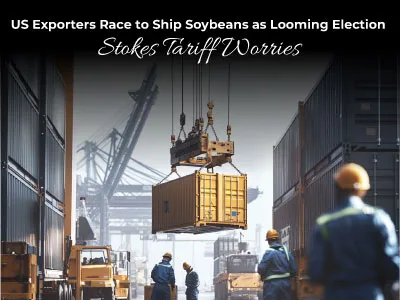 US Exporters Race to Ship Soybeans as Looming Election Stokes Tariff Worries