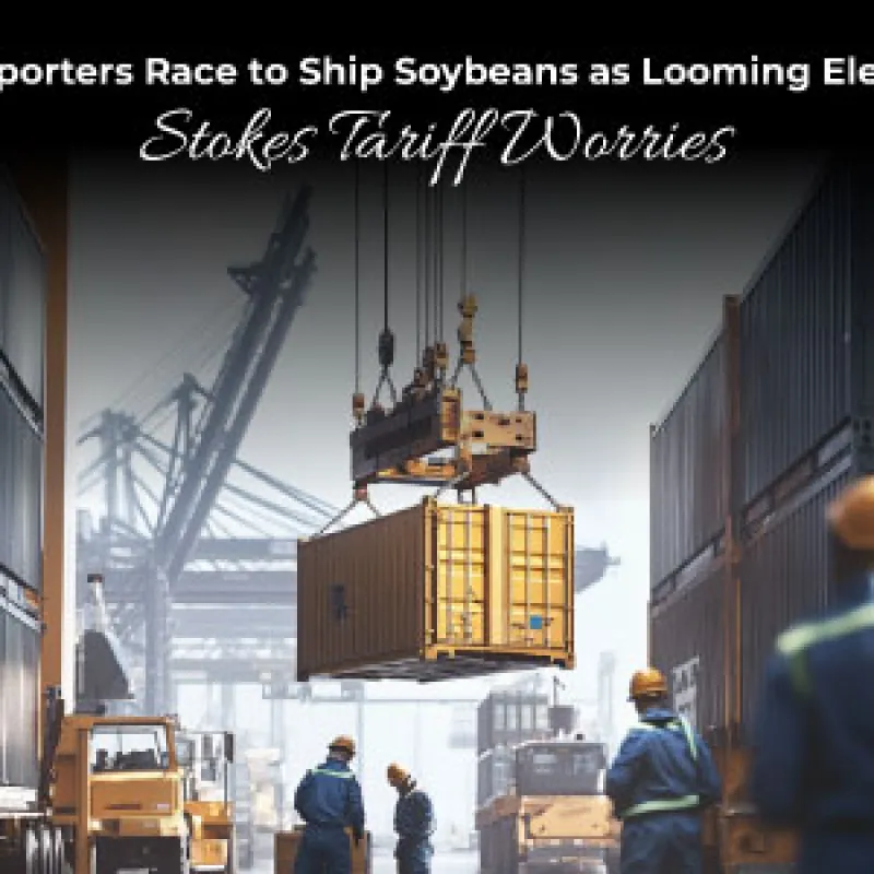 US Exporters Race to Ship Soybeans as Looming Election Stokes Tariff Worries