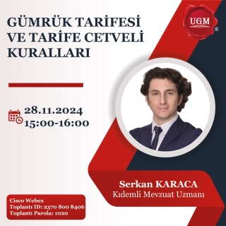 Gümrük Tarifesi ve Tarife Cetveli Kuralları (28.11.2024)