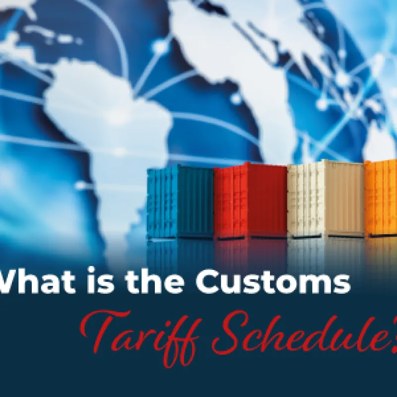 What is the Customs Tariff Schedule?